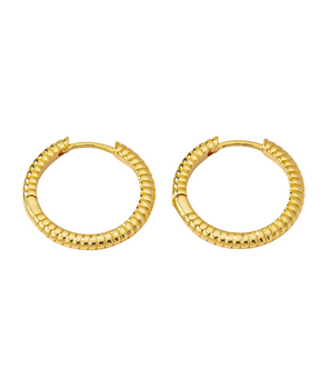 Rib hoops