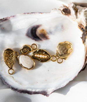 carina oyster shell gold